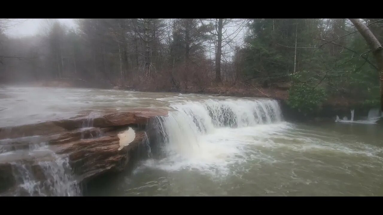 Albert Falls