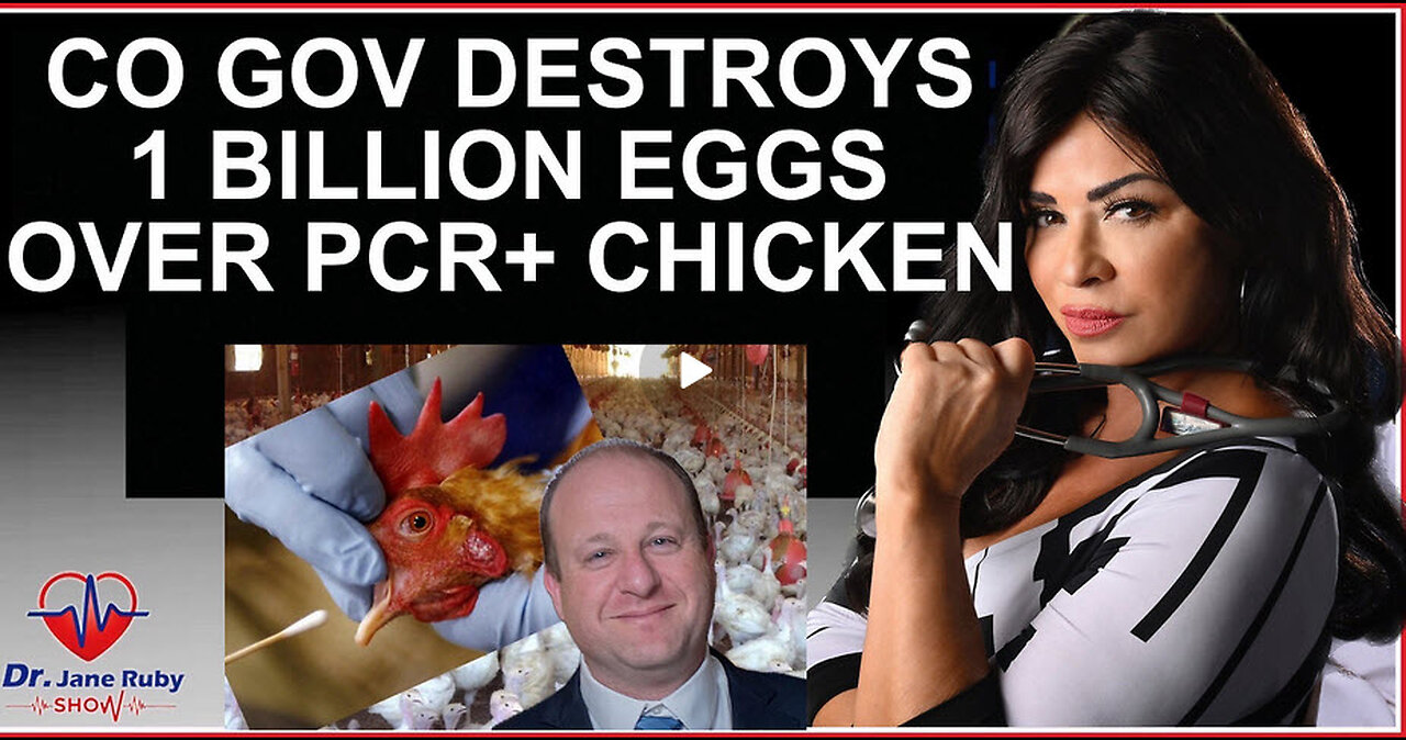 CO GOV DESTROYS 1 BILLION EGGS OVER FALSE +PCR CHICKEN