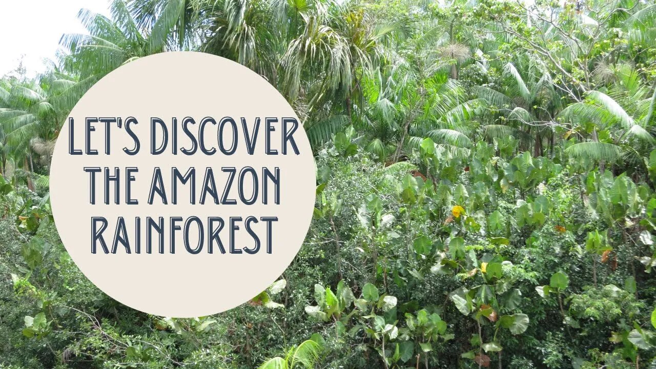 Exploring the Wonders and Threats of the Amazon Rainforest: A Journey Through the Lungs of the Earth