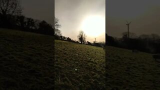 Early morning walk