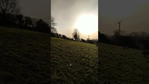 Early morning walk