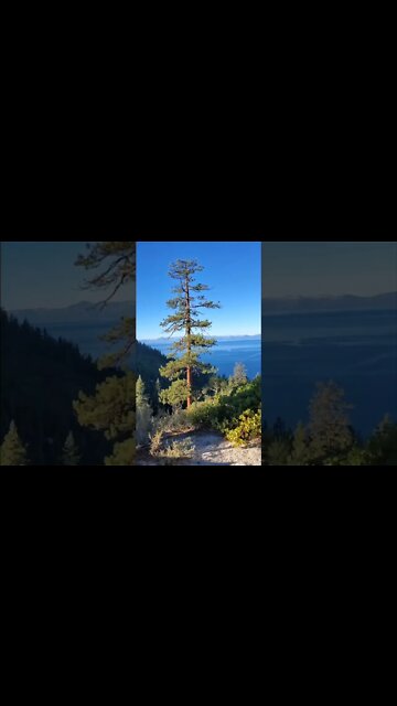 after rain Tahoe tunnel creek