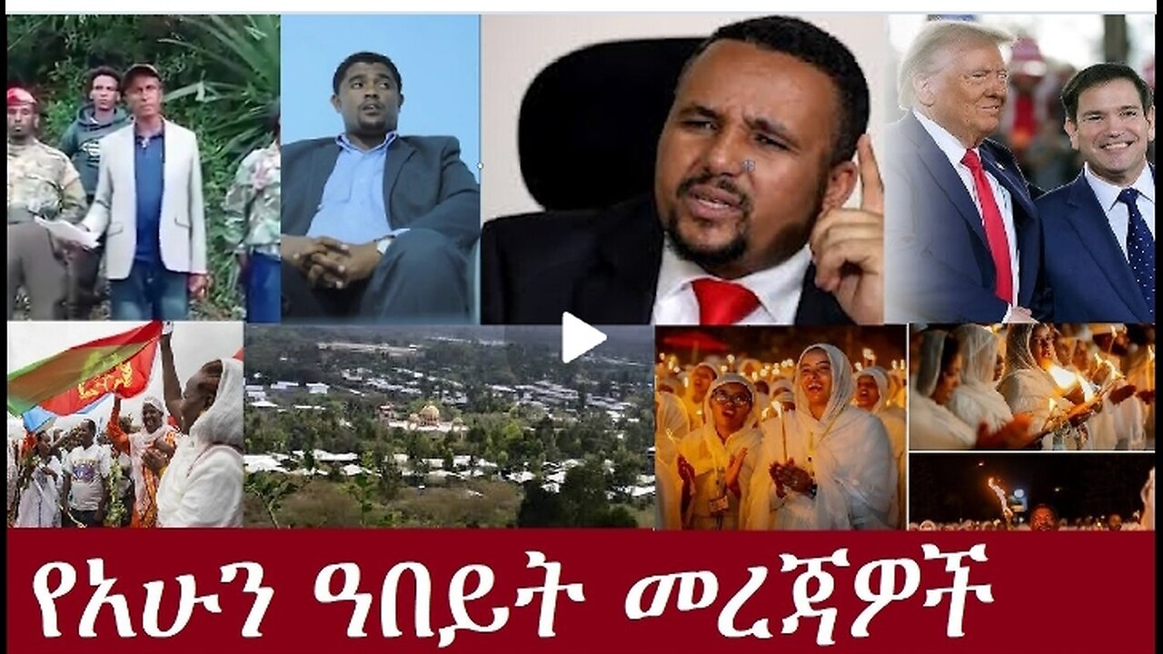 የአሁን ዓበይት መረጃዎች Nov 13,2024#dere news #dera zena #zena tube #derejehabtewold #ethiopianews