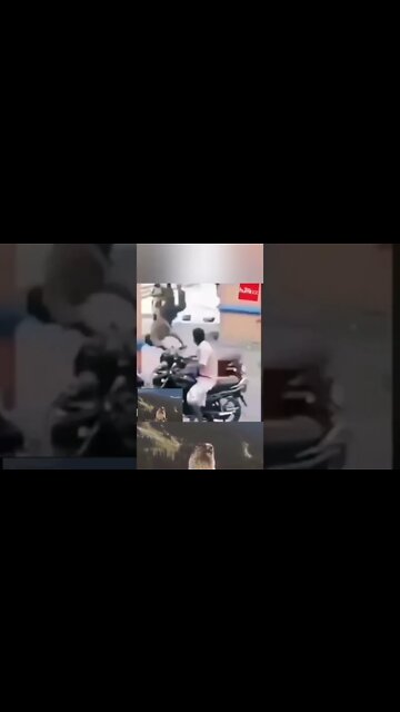 #respect #shorts #shortsyoutube #funny