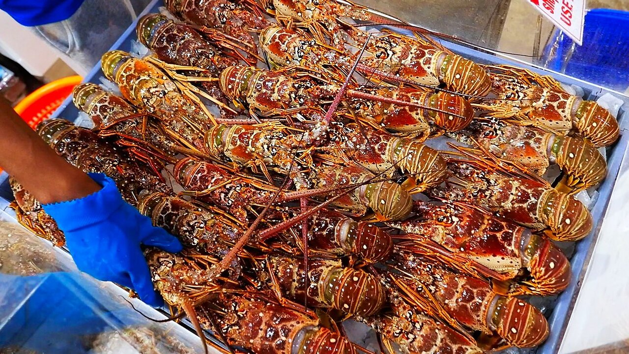 American Food - FRESH LOBSTERS and STONE CRAB CLAWS Seafood Florida USA