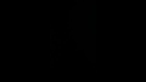 How to pronounce rustic