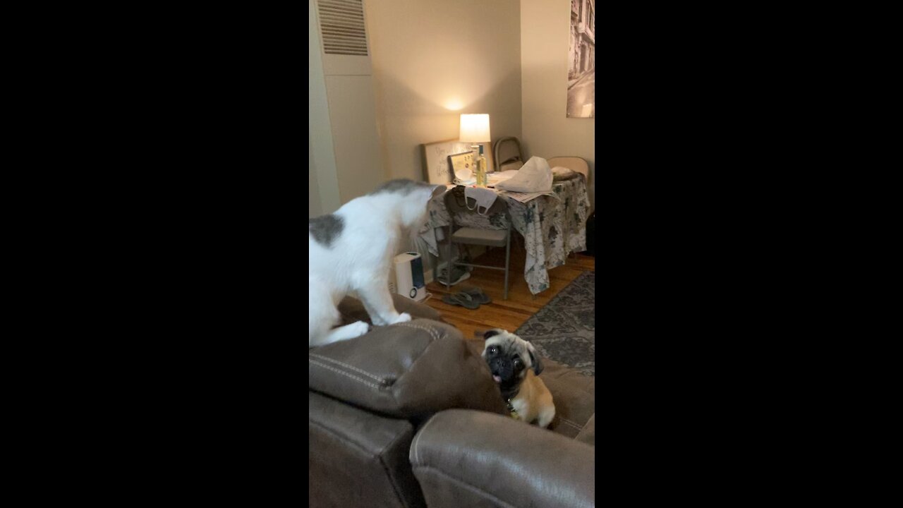 Molly is not impressed