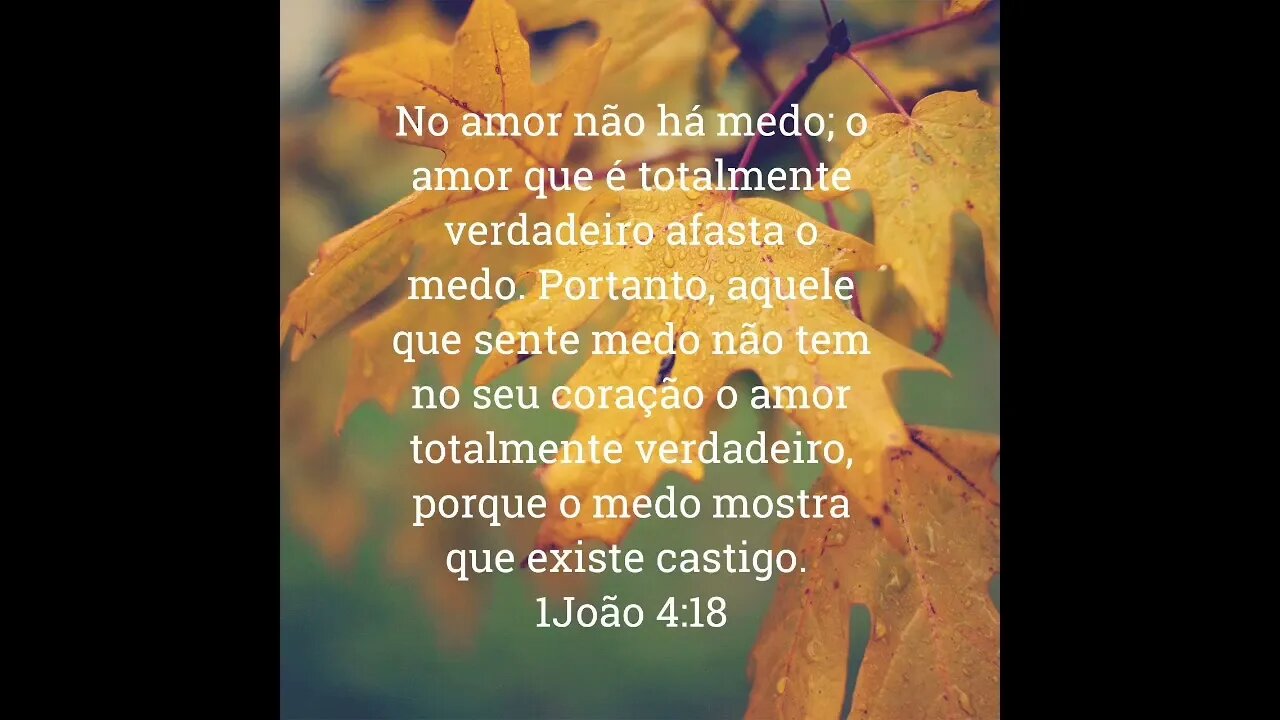 VERSÍCULO DO DIA 01/10/2022.#shortsseja