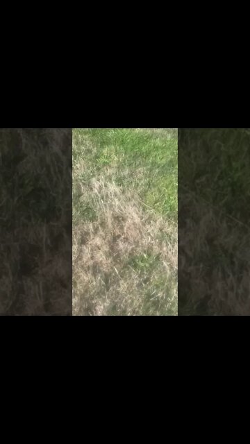 leaking concrete water tank repair process - this video shows how to repair leaking tanks.