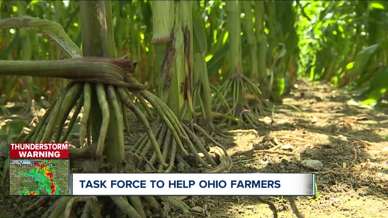 The Ohio State University creates task force to help struggling farmers