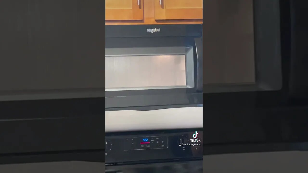 Why?! #slug #shorts #cooking #funnyshorts #funny