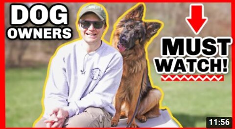 THE BIGGEST OVERLOOKED SECRET DOG TRAINING COMMAND!