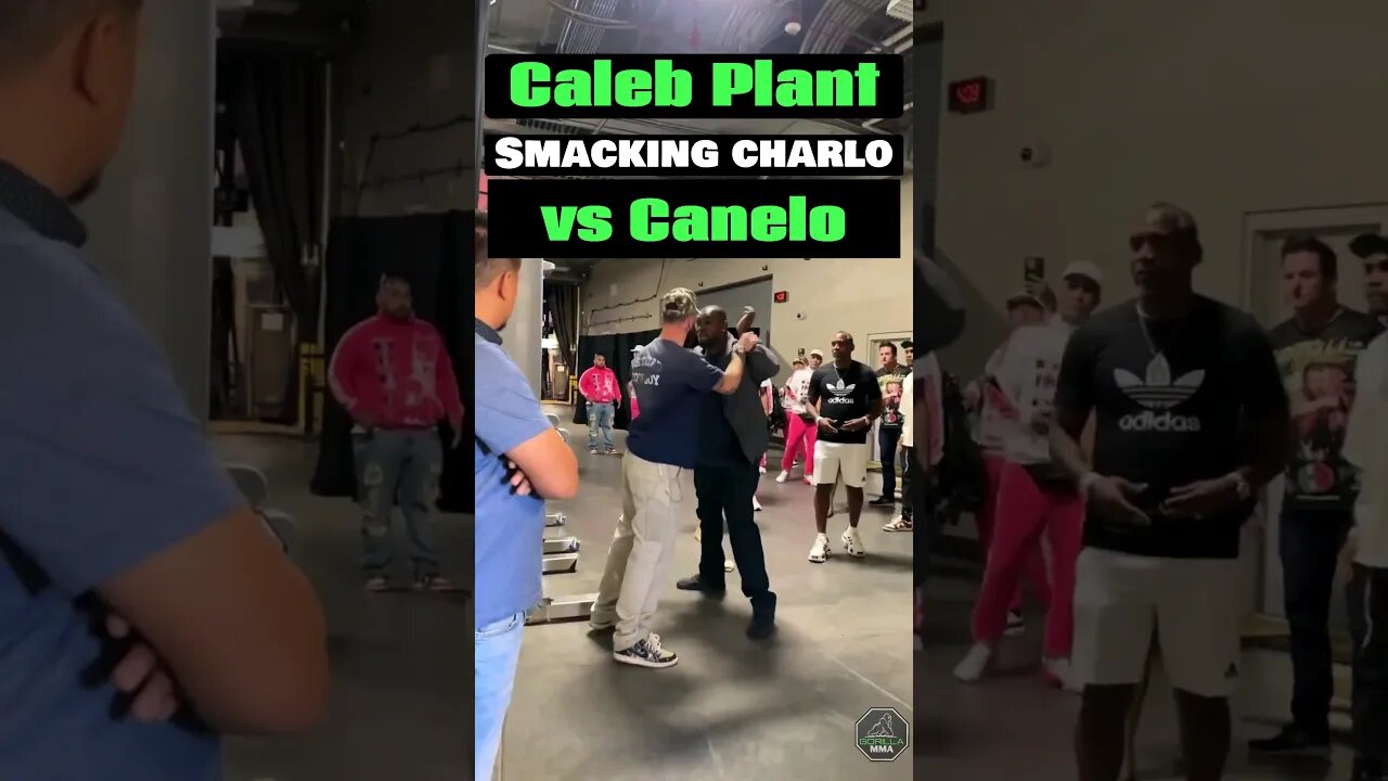 Caleb Plant Smacking 👀 Charlo vs Canelo #shorts #boxing #canelo