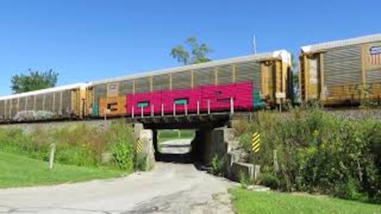 Honey Bees and CSX Autorack Train From Bascon, Ohio August 31, 2020