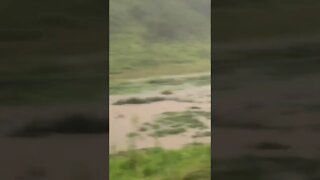 Last flood footage before nightfall