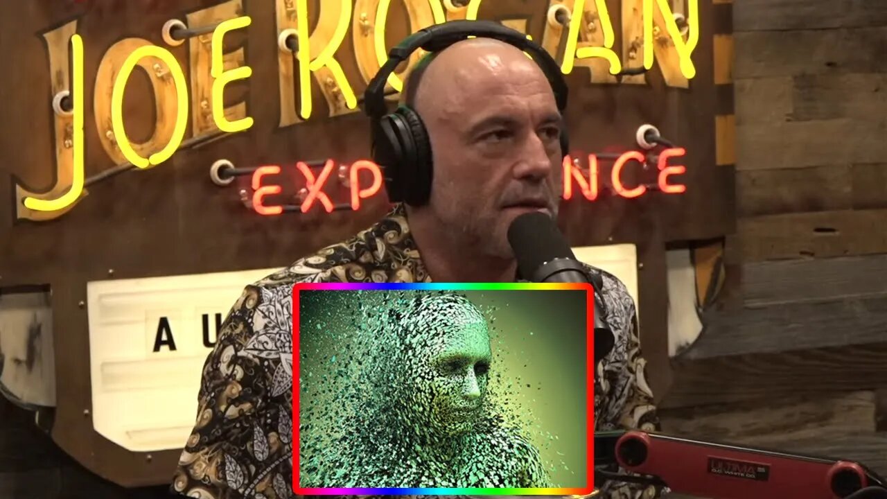 THE TRUTH OF THE SIMULATION THEORY: JOE ROGAN
