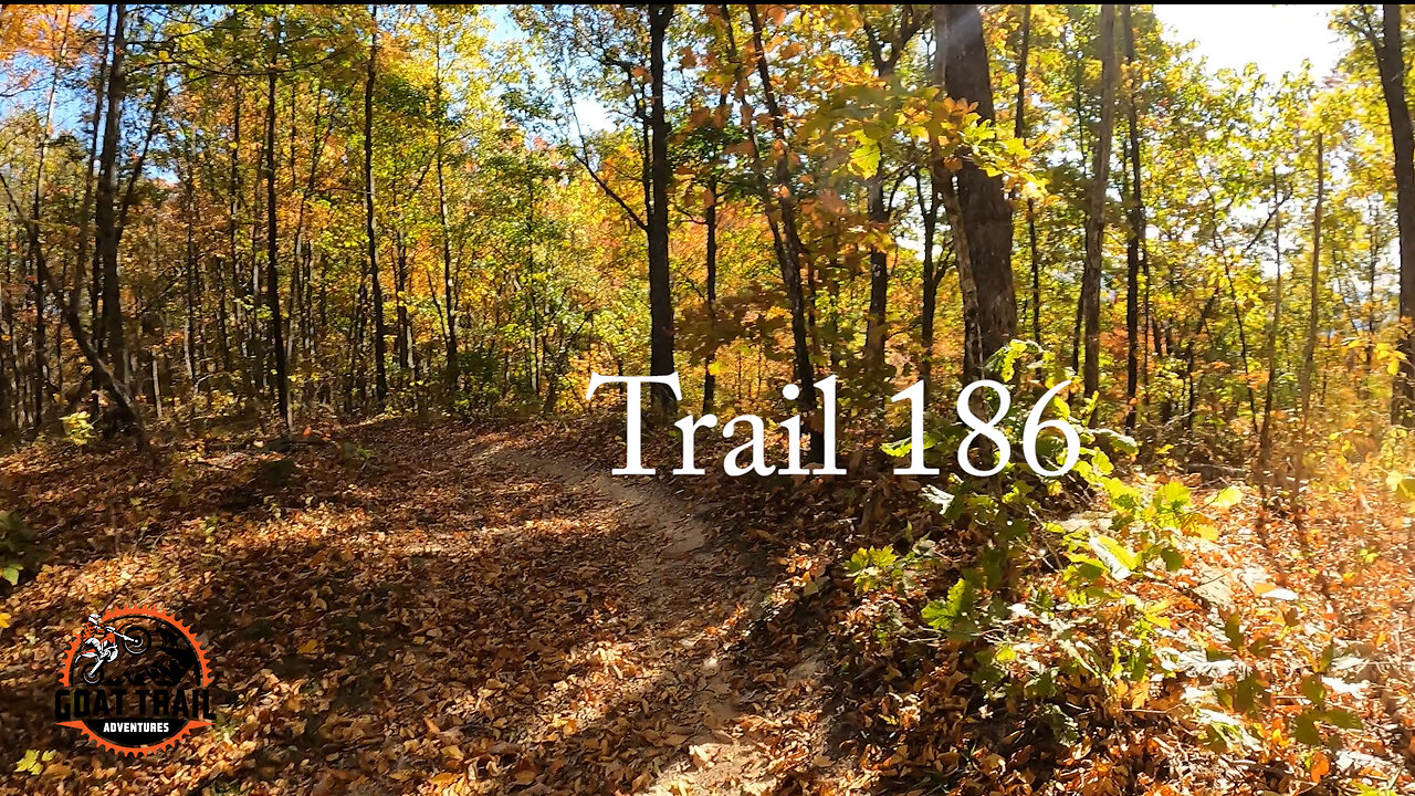 Hatfield McCoy Buffalo Mountain - Trail 186