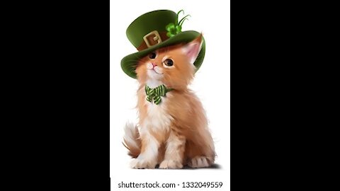 Hilarious Irish Cats!