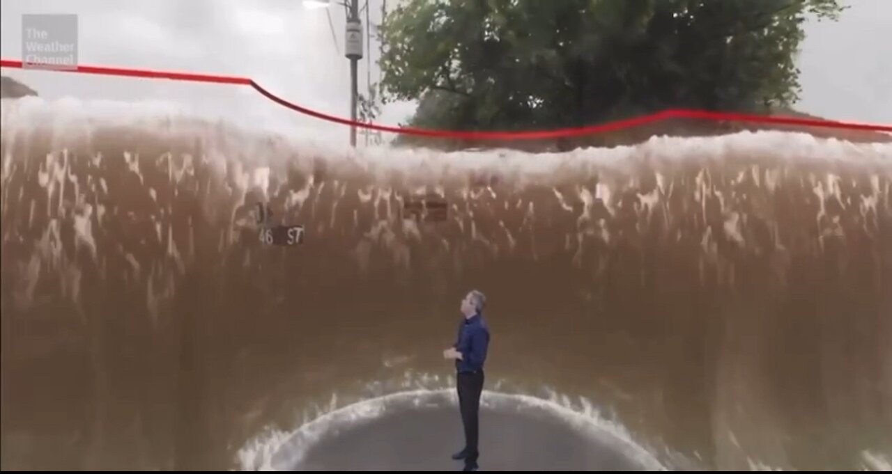 Simulation as to what hurricane Milton will look like in Tampa Florida