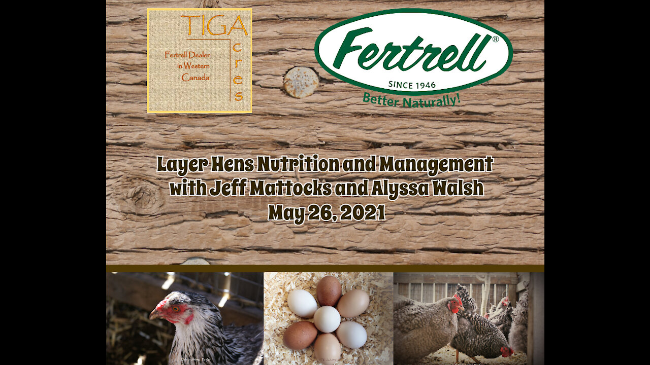 Layer Hens Nutrition and Management with Jeff Mattocks and Alyssa Walsh, May 26, 2021