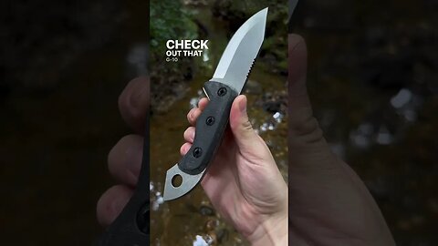 Today's feature: 2023 Tuatara in Midnight Black | Shed Knives #shedknives #shorts