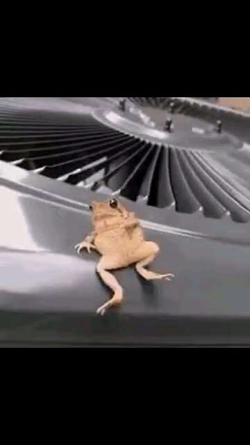 CHECKS ON THE WAY. "HONEST" GOT THE GAS MONIES COMING