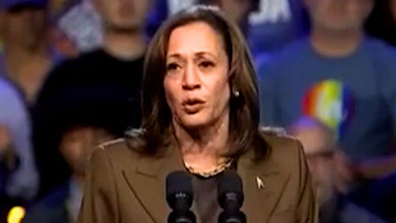 Vice President Kamala Harris Addressed the Federal Response to Hurricane Helene