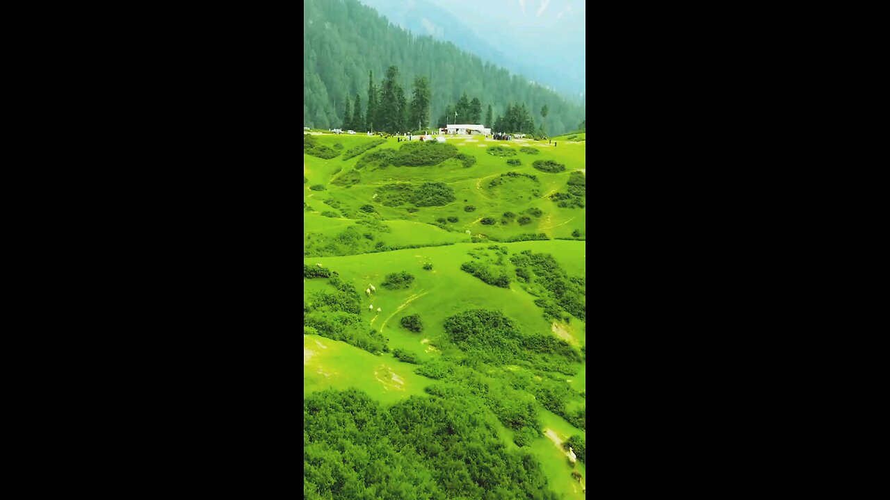 KASHMIR