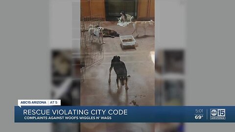 Valley animal rescue violating city code
