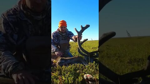 Alaska DIY Caribou Hunt Success!