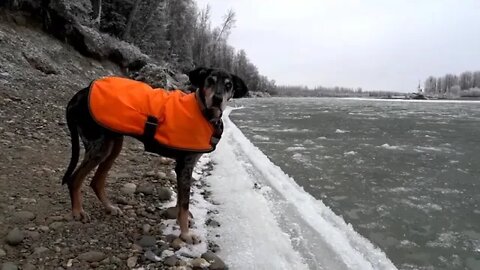 4 Cold Weather at the Cabin Life in Alaska
