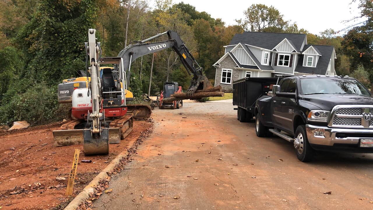 Loading Logs