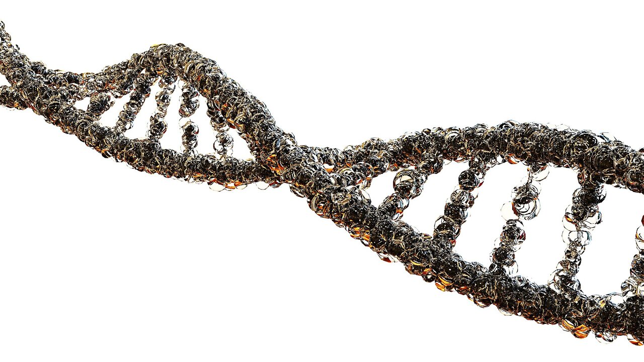 Biden podpisuje - technologia inżynierii genetycznej do programowania biologii