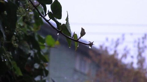 Rain Cloudy Clouds Storm Drops Raindrops Winter