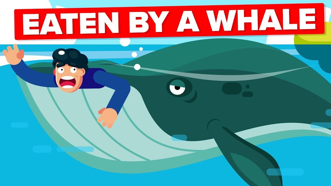 What If a Whale Accidentally Swallowed You