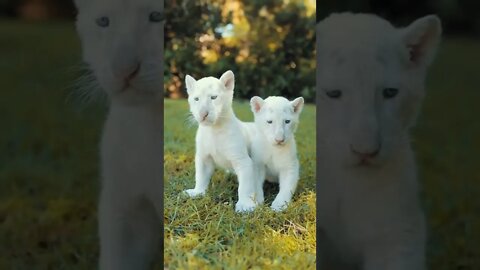 Look what a cute little thing