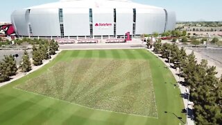 Arizona flags arranged at State Farm Stadium for lives lost to COVID