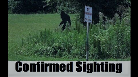 Confirmed Sighting in Manchester, Alabama