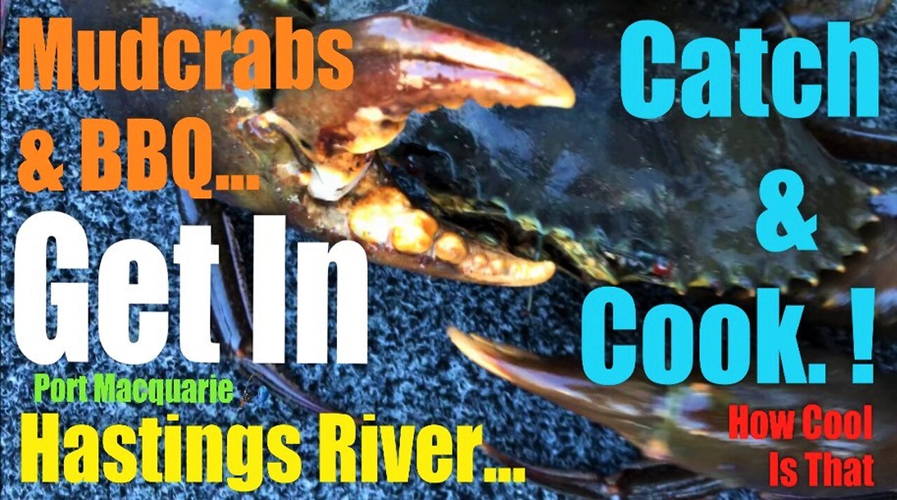 Bbq & Crabbing On The Hastings River Australia