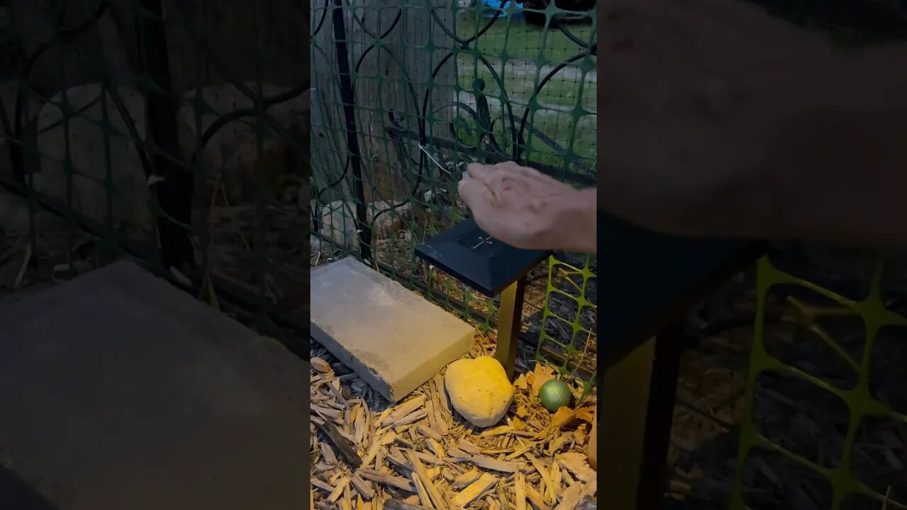 Using “ The Force” to turn on a light