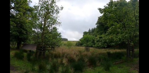 Arrived at the pid campsite. Night set up