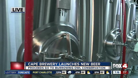 Brewery in Cape Coral launches beer to help burrowing owls - 7am live report