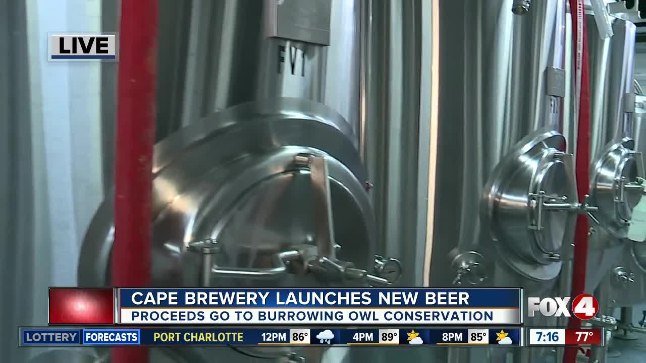 Brewery in Cape Coral launches beer to help burrowing owls - 7am live report