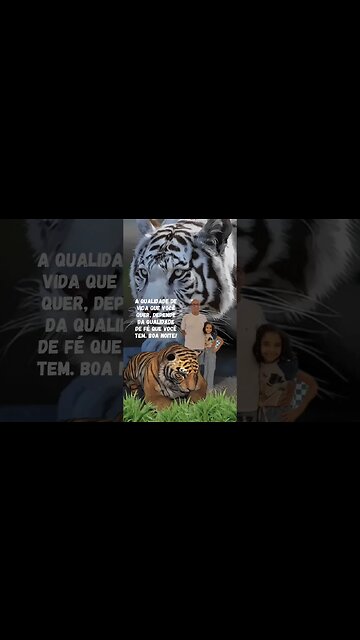 MENSAGEM DE BOA NOITE.