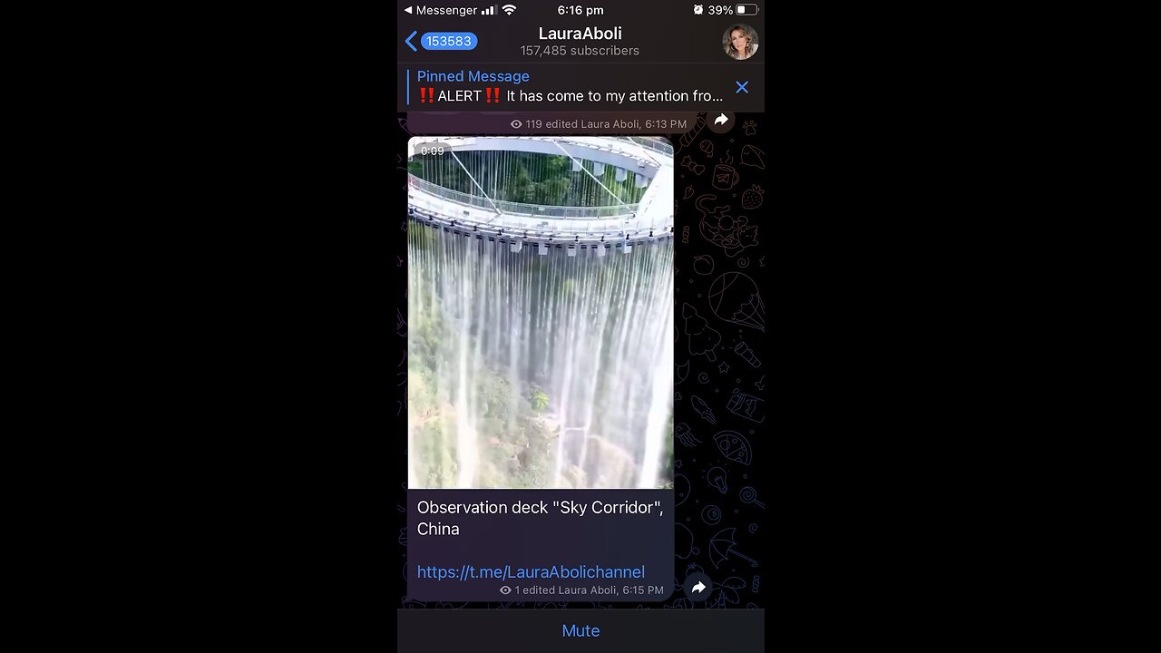 Laura Aboli Telegram : China, Joe Rogan...