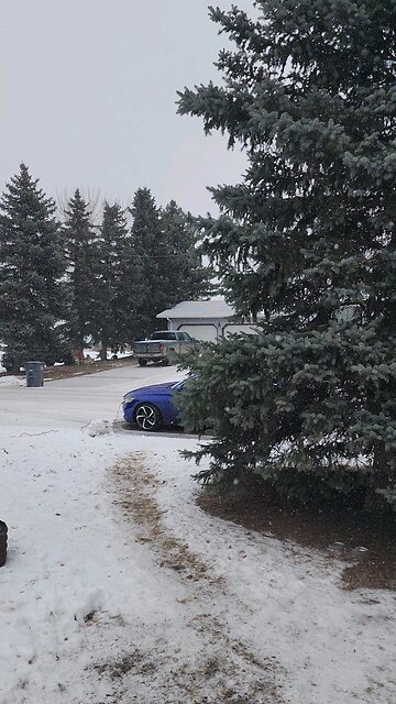 here comes the snow again