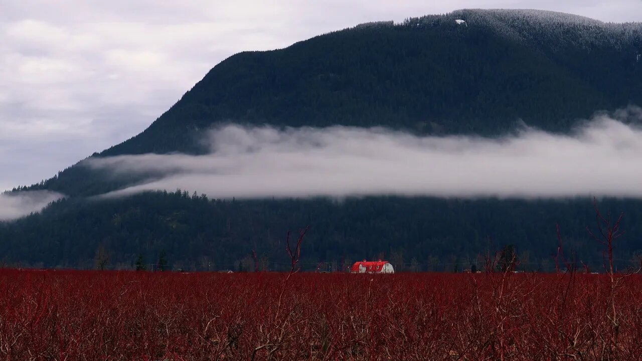 Time-lapse Nicomen Island Cloud Movement