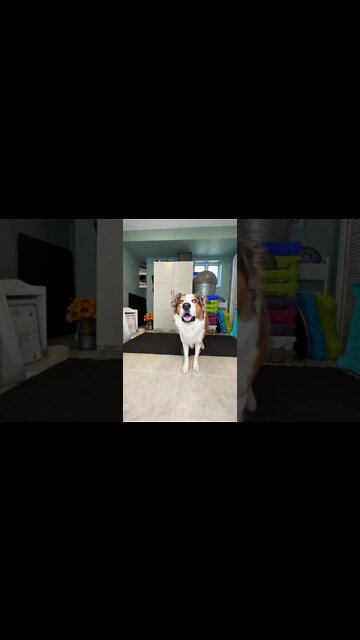 When Threesome works , #short