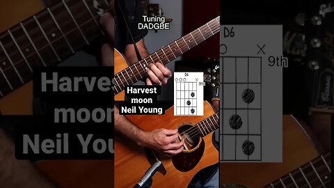 The sweet opening to Harvest moon by Neil Young #shorts