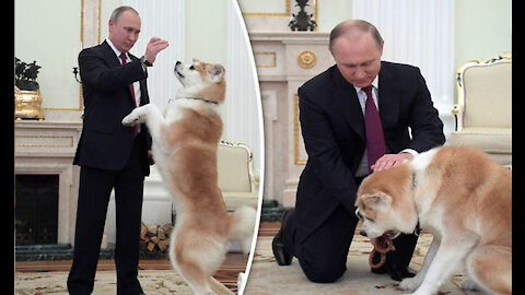 Here's What You Don't Know About Vladmir Putin and his pets